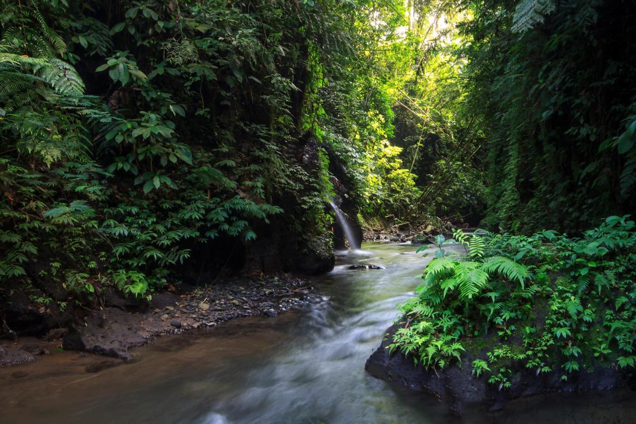 Bali Jungle Resort Tegallalang  Eksteriør bilde